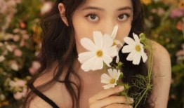 娱乐吃瓜欧阳娜娜小说免费阅读,娱乐圈的甜蜜瓜田