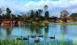 花果园爆料事件视频大全,揭秘背后真相与争议